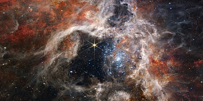 Daha önce görülmemiş binlerce genç yıldız keşfedildi: Tarantula Bulutsusu görüntülendi